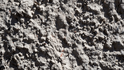 Texture of old rough plaster
