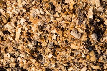 Sawdust texture