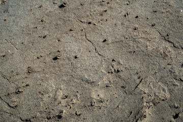 Sand texture