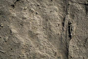 Sand texture