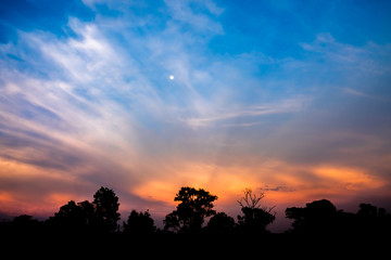 Twilight dramatic blue sky with clouds and orange and pink sunlight with silhouette of trees on the foreground.