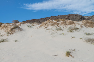 Balandra beach, between the desert and the sea of cortes, La Paz Baja California Sur. Mexico