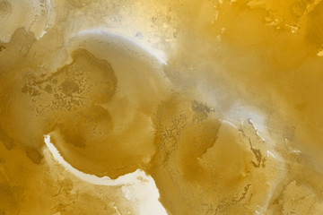 Hand painted gold alcohol ink background. Abstract delicate yellow texture. Contemporary wallpaper. 