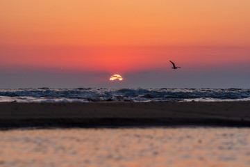 Texel holländische Nordsseeinsel