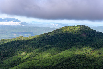 Obraz na płótnie Canvas Mountain forest in the morning, Phu Soi Dao, Uttaradit Province, Thailand.