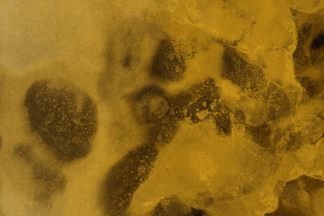 Hand painted gold alcohol ink background. Abstract delicate yellow texture. Contemporary wallpaper. 