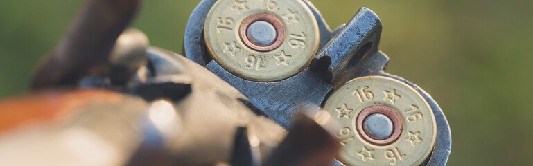 Hunter with a german drathaar and spaniel, pigeon hunting with dogs in reflective vests	