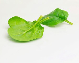 Green Leaf Spinach On White 