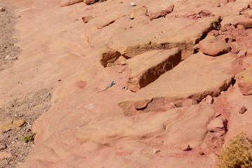 Coloured Canyon is a rock formation on South Sinai (Egypt) peninsula. Desert rocks of multicolored sandstone background.	