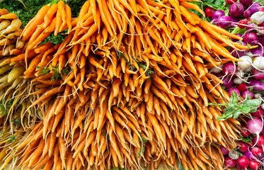 Orange and yellow carrots for sale at an agricultural market in New York. Bright background