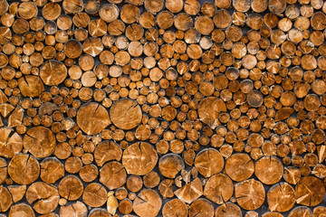 View of end cut wood tree section with cracks and annual rings. Natural organic texture with cracked and rough surface. Round cut down tree. Close view of brown tree log.