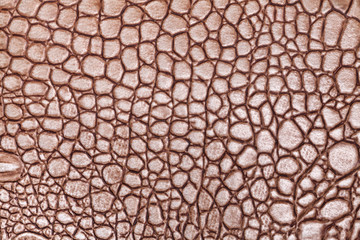 Naklejka premium Dark brown leather texture background, closeup. Reptile skin, macro.