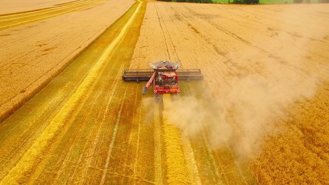 Aerial view of combine harvester. Harvest of wheat field. Industrial footage on agricultural theme. Agriculture in European Union from above.