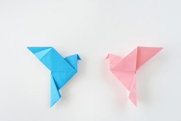 Bird dove of origami on a white background.