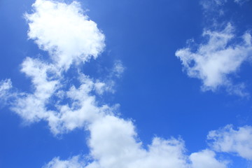 Fototapeta premium 夏の空