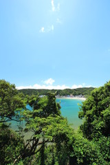 伊豆下田　夏の外浦海岸