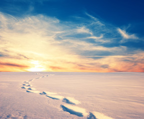 Fototapeta na wymiar winter snowbound plain with human track at the sunset