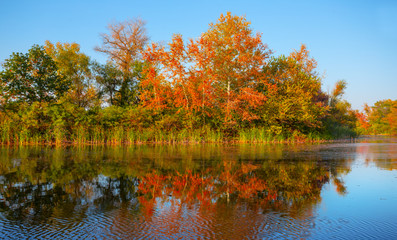 quiet autumn scene, small lake with red forest on a coast
