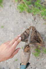 man chopping wood with an old ax