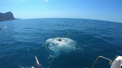 Handsome young man jumping from a boat or yacht into the sea or ocean. Summer vacation with friends. Tourists have fun and dive. Slow motion.