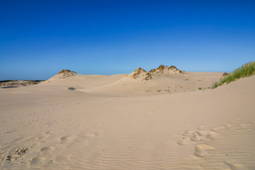 Fototapeta premium Moving Dunes in Northern Poland. A Desert by the Sea. Incredible Place on Earth. Pictures Taken in Very Hot Day with No Clouds.