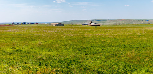 The green grassy meadow with farm buildings at the distance. Kalmykia, Russia