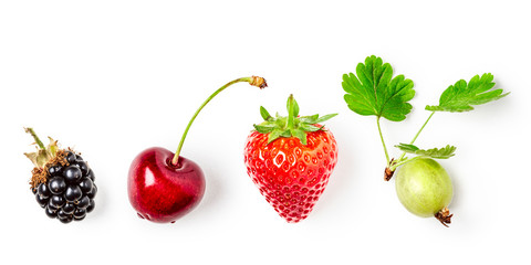 Berries summer fruits set