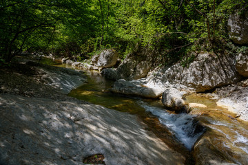 mountain river flowing on the rocky bottom of the river, having a white color, surrounded by trees, on a sunny day, with clouds in the sky. Spring view of the Crimean mountains.