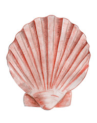 A Scallop seashell  in brown and beige colors was drawn by watercolor pencils