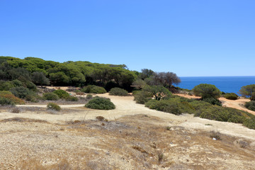 Dirt tracks through the Caminho Da Baleeira Nature Reserve near Albufeira