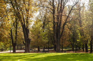 Park in autumn