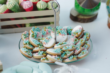 tray of colored cookies