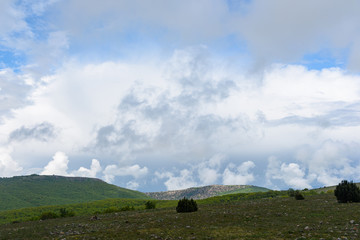 heavy fog in the mountains after the rain with growing trees on the slope of a barely visible sea. Spring view of the Crimea.