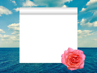 Blank paper scroll and romantic pink rose on a calm sea background