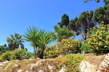 Fototapeta premium Colourfull Garden