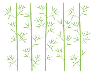 Bamboo forest background. Bamboos or bambusa plant backdrop. Bambos green leaves and stalk. Decorative flat vector color Illustration.