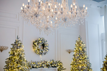 royal room with christmas tree and fireplace