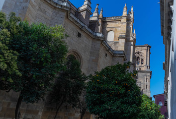 Fototapeta na wymiar Detalle de la catedral de Granada