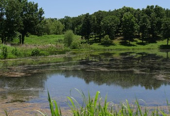 Fototapeta na wymiar Roadside view of a lake at Chickasaw National Recreation Area in Davis, Oklahoma