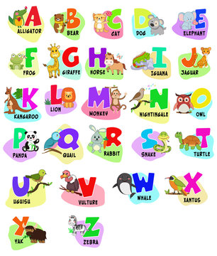 Animal alphabet graphic A to Z. Cute Zoo alphabet with cartoon animals isolated on white background, education cards. Cat, dog, turtle, elephant, zebra, bear, rabbit