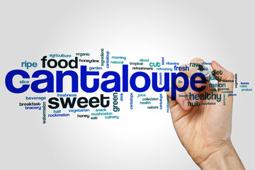 Cantaloupe word cloud concept on grey background