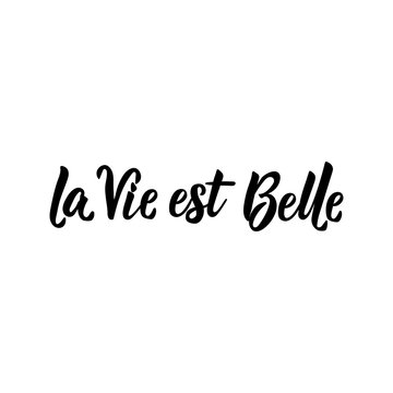 Translation from French: Life is beautiful. Vector illustration. Lettering. Ink illustration. La Vie est Belle.