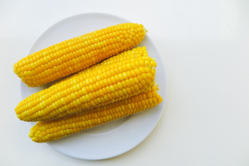 Fresh boiled corn on the cob in a plate on the table, close-up selective focus