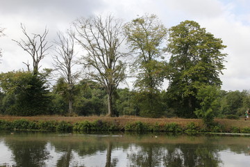 Fototapeta na wymiar Blain paysage nature