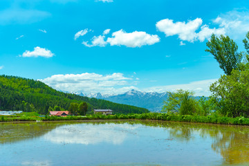 Obraz premium Vast blue sky and white clouds over paddy farmland field in a beautiful sunny day in springtime. Panoramic rural landscape with mountains.