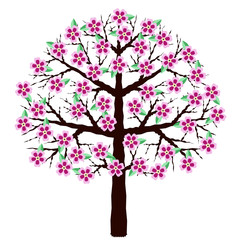 Obraz premium Blooming sakura isolated on a white background. A tree with flowers. Cherry blossoms.