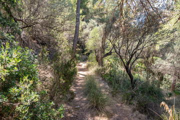 Mallorca Wandern