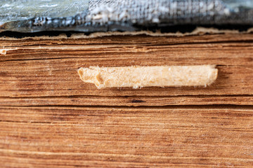 Old book. Close up of side texture of book pages. Vintage background.