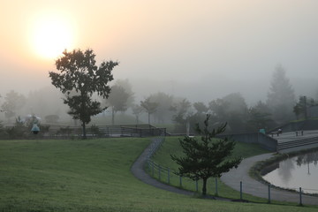 霧の中の朝日