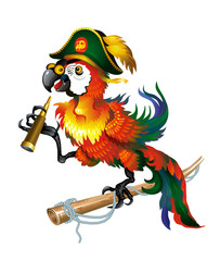 Red parrot macaw in a cocked hat isolated on  white, holding a telescope. Sea pirates. Vector illustration.
